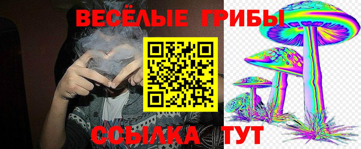 Псилоцибиновые грибы прущие грибы Новозыбков
