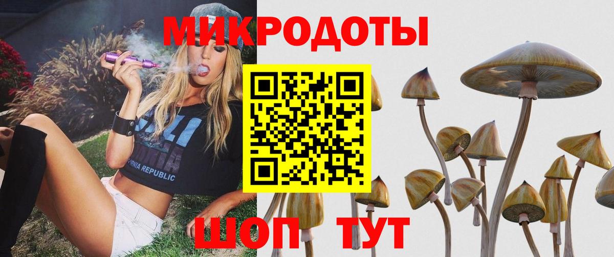Новозыбков  Марихуана  ГАШИШ  Метадон  ГАШИШ  Кетамин  Cocaine  Вход с VPN  МЕФ кристаллы 